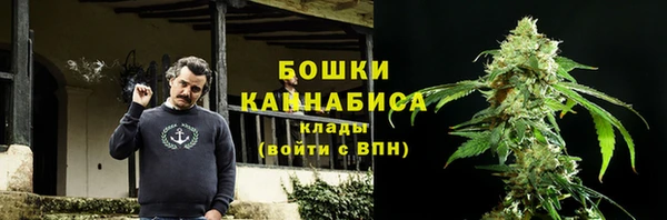 стафф Алексин