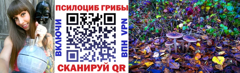 Галлюциногенные грибы Cubensis  продажа наркотиков  Ленинск-Кузнецкий 